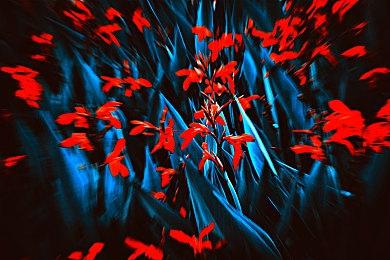 《空洞骑士：丝绸之歌》 Xbox商店页面已上线